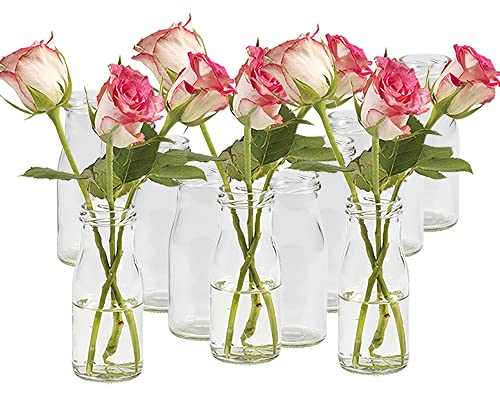 10 Stück Runde | Typ 156 | Mini Vasen Glasfläschchen kleine | Dekoflaschen Flasche | Väschen Vase Glasflaschen Blumenvase (10 Stück) von Vitrea