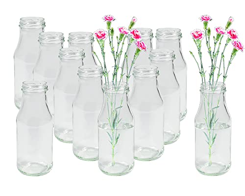 12 Stück Runde Mini Vasen Typ 263 Glasfläschchen kleine Dekoflaschen Flasche Väschen Vase Glasflaschen Blumenvase (12 Stück) von Vitrea