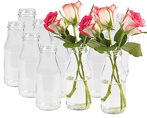 20 Stück Runde Mini Vasen Typ 263 Glasfläschchen kleine Dekoflaschen Flasche Väschen Vase Glasflaschen Blumenvase (20 Stück) von Vitrea