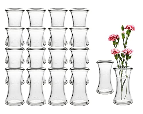 48 Stück Runde Typ DEL100 Mini Vasen Glasfläschchen kleine Dekoflaschen Flasche Väschen Vase Glasflaschen Blumenvase (48) von Vitrea