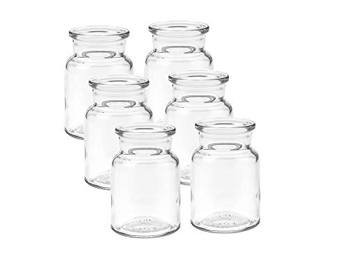 Vitrea 6 Stück kleine Vasen - Rund, 9 cm hoch, Glas - Mini Blumenvasen, Glasvasen, für Tischdeko, Glasflasche, Minivasen, Väschen (6 Stück) von Vitrea