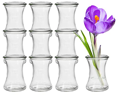 8 Stück Runde Mini Vasen Typ370 Glasfläschchen kleine Dekoflaschen Flasche Väschen Vase Glasflaschen Blumenvase (8 Stück) von Vitrea