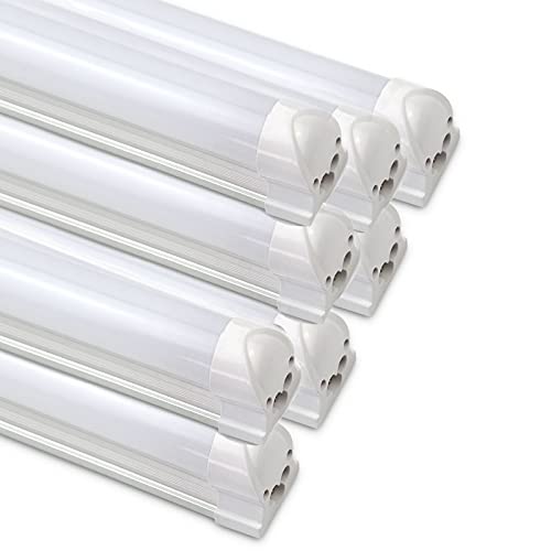 Vkele LED 120cm T8 Leuchtstoffröhre mit Fassung komplett Kaltweiß milchige Abdeckung für Keller, Büro, Shop, Fabriken von Vkele