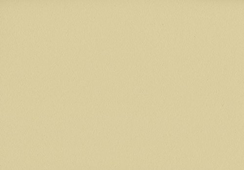 Volvox Espressivo Lehmfarbe Bunttöne 2 PGB 2,5 Liter | 20 m² (acapulco gold | 089) Wandfarbe Deckenfarbe Naturfarbe von Volvox
