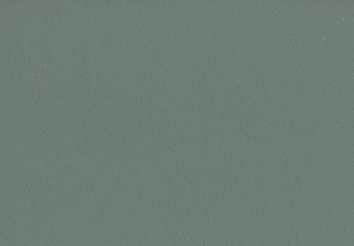 Volvox Espressivo Lehmfarbe Bunttöne 2 PGB 2,5 Liter | 20 m² (ginkgo | 098) Wandfarbe Deckenfarbe Naturfarbe Ginkofarbe von Volvox