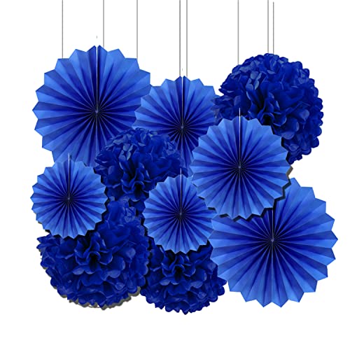 Vsosfiza Papier Dekoration Blau,Hängender Papier Pompons und Papier fächer Blaues,Seidenpapier Pompons und Papierfächer für Hochzeit,Geburtstag,Party(10 Stück) von Vsosfiza