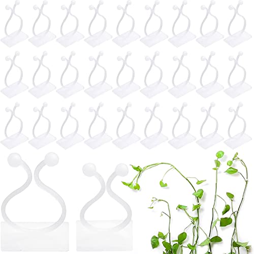 Pflanzenclips Groß 120 Stück Wandbefestigung für Pflanzen, Plant Climbing Clips, Befestigung Clips Wand, Kletterpflanze Befestigungsklammern für Pflanzen Sicherung Unterstützt (Weiß) von WBYNB
