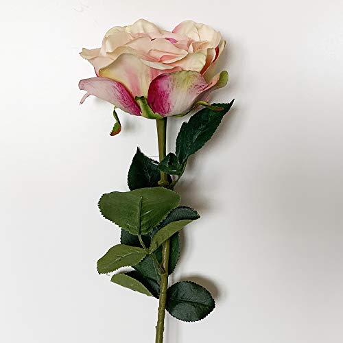 WELLHOME Blumenstrauß Natural Touch Blume Ø11cm in weiß, rosa, 69cm, Einheit von WELLHOME