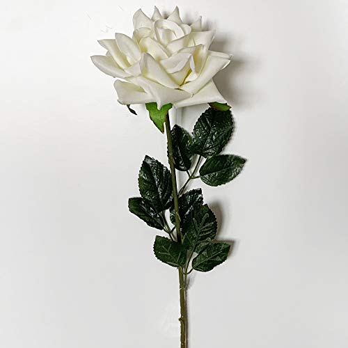 WELLHOME Rosenstrauß, Samt, Weiß, 75 cm, 1 Stück von WELLHOME