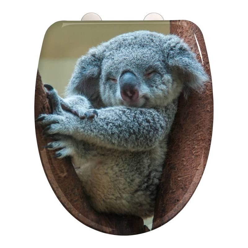 WC-Sitz Koala von WENKO