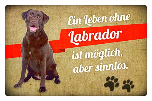 Schild Vintage Retro Deko Geschenk Ein Leben ohne Labrador 3 mm Alu-Verbund 300 x 200 mm von WERBEPUNKT.