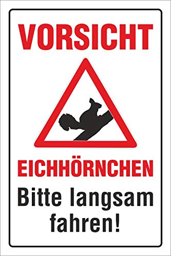 WERBEPUNKT. Schild Vorsicht Eichhörnchen Bitte langsam Fahren Hinweisschild 3 mm Alu-Verbund 450 x 300 mm von WERBEPUNKT.