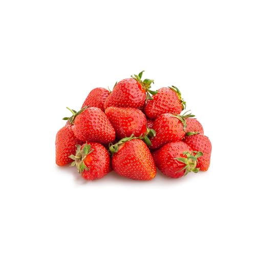 WJKWY-Q 100 pcs erdbeeren samen Garten - rankpflanze dachbegrünung erdbeer erdbeersamen kaufen,Fragaria ananassa, kletterpflanzen für Schatten rankpflanzen winterhart wanddeko Pflanzen Obst von WJKWY-Q