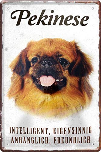 WOGEKA ART Retro Blechschild - Pekinese Hund Steckbrief - witziger Spruch als Geschenk-Idee zum Geburtstag Weihnachten zur Dekoration 20x30 cm Vintage-Design aus Metall 307 von WOGEKA ART