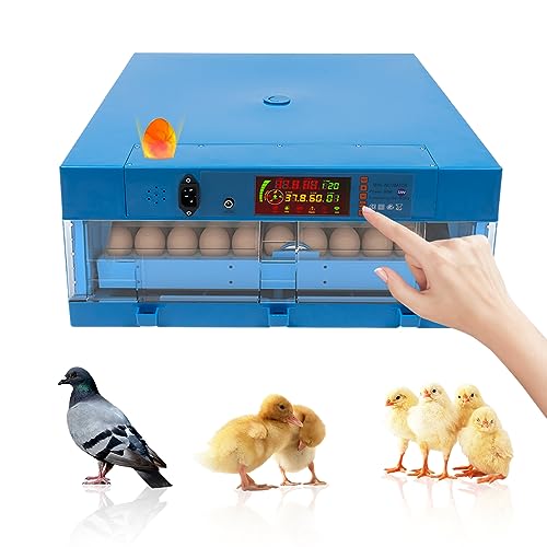 Brutautomat Vollautomatisch,64 Eierinkubatoren Automatische Temperaturregelung,Inkubator mit Automatisches Wenden von Eiern Feuchtigkeitskontrolle für Zuchtbetriebe, Labors usw von WOQLIBE
