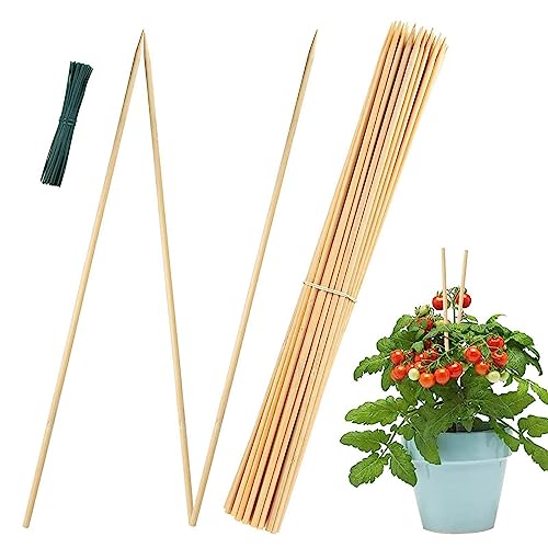 Bambus-Pflanzstäbe | Blumenstützstäbe | Pflanzenrankenhalter mit Drahtbindern, Pflanzenstützpfahl, natürlich, 43,2 cm, für kleine Pflanzen von WOTEG