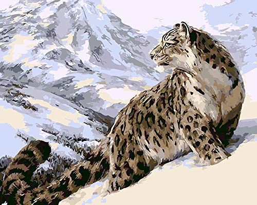 WOWDECOR DIY Malen nach Zahlen für Erwachsene Kinder Mädchen, Leopard Tiger Schneeberg 40x50 cm Vorgedruckt Leinwand-Ölgemälde (mit Rahmen) von WOWDECOR