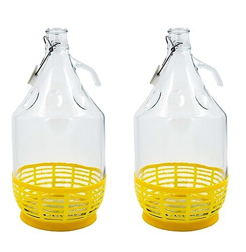 WYSKONT Enghals Ballonflasche Weinflasche mit Bügelverschluss und Korb zur Aufbewahrung von Gärungsgetränken aus transparentem Glas, luftdicht, 2 Stück x 5 l von WYSKONT