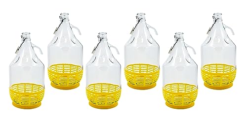 WYSKONT Enghals Ballonflasche Weinflasche mit Bügelverschluss und Korb zur Aufbewahrung von Gärungsgetränken aus transparentem Glas, luftdicht, 6 Stück x 5 l von WYSKONT