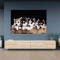 Wandtattoo Husky Süße Welpen Thema Poster Klebekunst Aufkleber Wandbild von WallArtsOnline