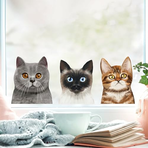 Fensterbild Katzen Siamkatze Perserkatze Katzenrassen, Fensterdeko Kinderzimmer Kind Osterdeko Frühlingsdeko, A4 Bogen von Wandtattoo Loft