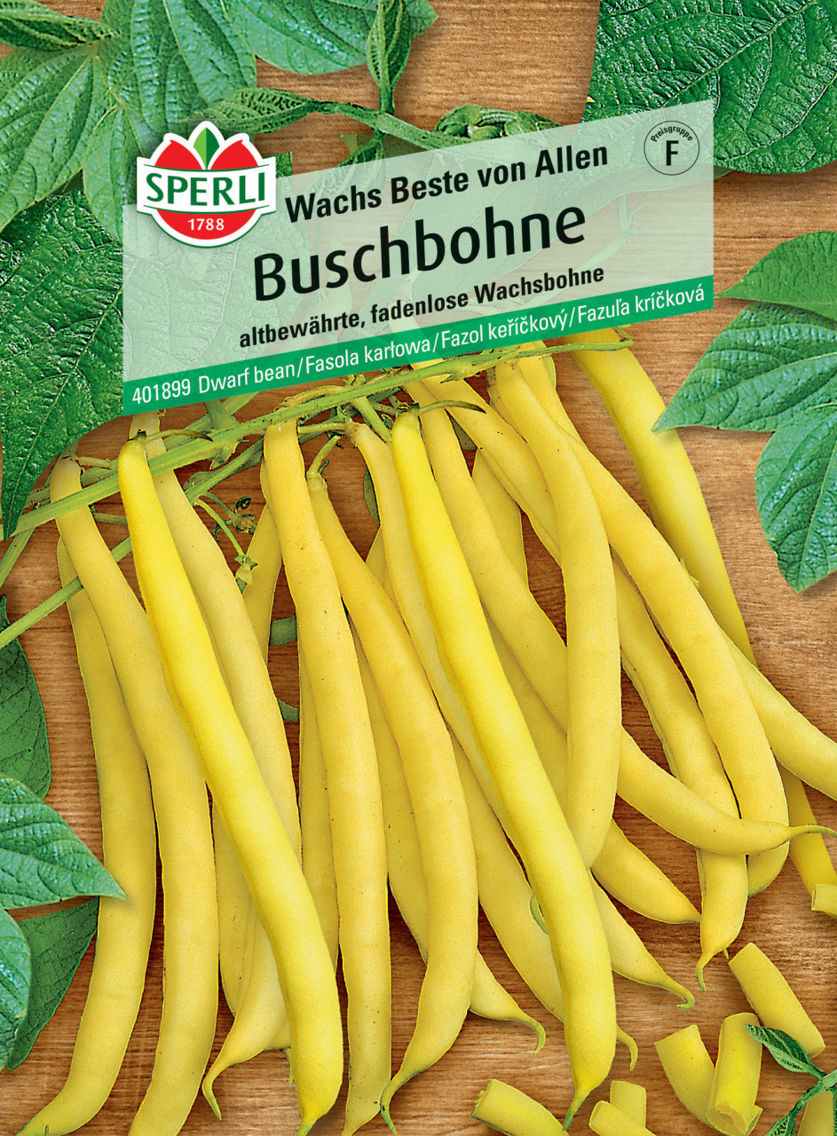 Sperli Buschbohne Wachs Beste von Allen von Sperli