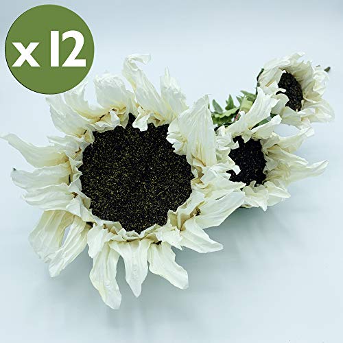 Wellhome 12er Pack Sonnenblumenstrauß mit 3 Blüten in Farbe, weiß 56 cm von Wellhome