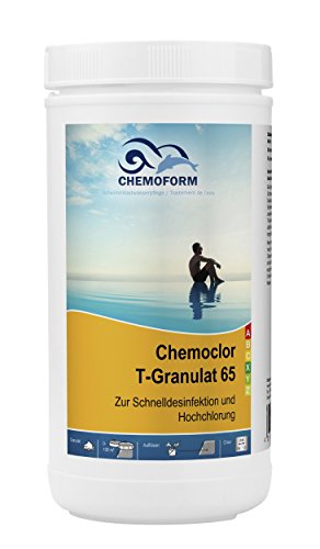 Chemoclor T- Granulat 65 Pool Chlorgranulat schnelllöslich Stoßchlor Desinfektion 1kg (1Dose) von Wellsapool