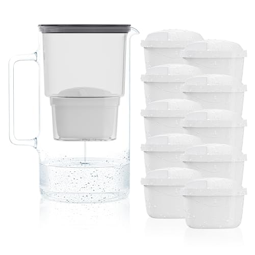 Wessper Wasserfilter Kanne Glas 2,5L, Set Wasserkanne und 10 Filterkartuschen, Kompatibel mit Brita Maxtra, Wasserkaraffe für Trinkwasser mit Ersatz Filter - Schwarz von Wessper