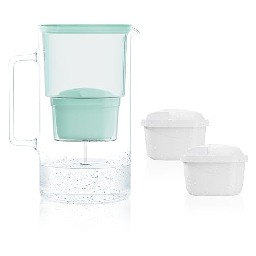 Wessper Wasserkaraffe, Wasser Filterkanne Inklusive 2 X Kannenfilter, Kompatibel Mit Brita Maxtra, Brita Maxtra +, Großes Fassungsvermögen 2,5l, Minze, Set Kanne + 2 Patronen von Wessper