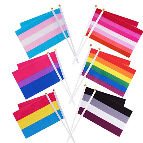 Whaline 60 Stück Regenbogen Flagge Transgender Asexuelle Bisexuelle Pansexuelle Lesbische Stock Flaggen, Lebendige Gay Pride Flagge Mini Hand LGBT Fahnen für Karneval LGBT Party (21 x 15 cm) von Whaline