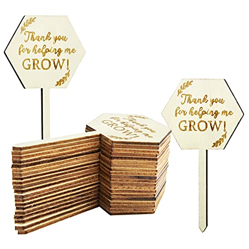 Wieat Pflanzenetiketten aus Holz, mit Aufschrift "Thank You for Helping Me Grow", Gartenschilder, Gewächshauszubehör für Samen, Topfkräuter, Blumen, Gemüse, tolles Erntedankfest, 10,2 x 5,1 cm, 20 von Wieat