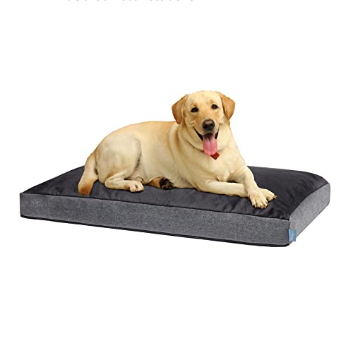 XDREAM orthopädisches Comfort Hundebett | Flauschiges Hundekissen|mit weichen Schaumstoffstäbchen zur Gelenkschonung | Bezug waschbar | Öko-Tex Zertifiziert | Höhe 8 cm | 75 x 46cm | Grau von XDREAM