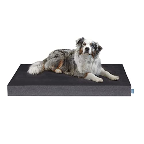 XDREAM orthopädisches Premium Hundebett | Flauschiges Hundekissen|mit Gelschaumauflage zur Gelenkschonung |Bezug abnehmbar und waschbar | Öko-Tex Zertifiziert | Höhe 8 cm | 60 x 43 x 8 cm | Grau von XDREAM