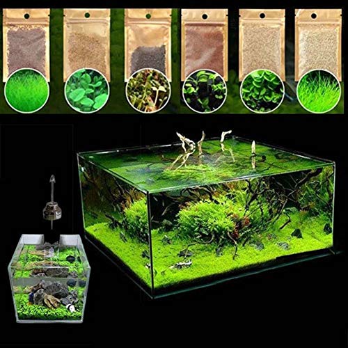 600Pcs A Aquatics Wassergraspflanze Samen Aquarium Aquarium Landschaftsdekoration Wasser Grassamen 600 Stück von XQxiqi689sy