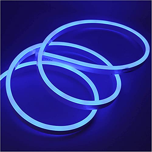 XUNATA 6m Neon LED Streifen Blau, 220V 2835 120leds/m IP65 Wasserdichte, Diffusion Flex LED Schlauch für Heim DIY Festival Dekoration von XUNATA