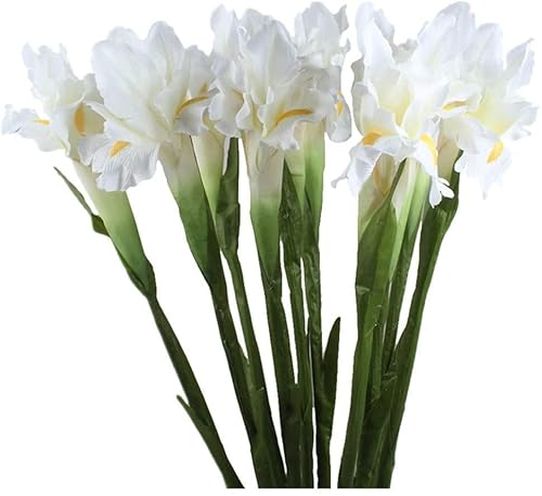 Xidmold 4 Bündel Real Touch Lange Stiele Iris Blume Seide Künstliche Irland Irische Iris Künstliche Blume für Hochzeit Dekor Home Blumenarrangements Dekoration (weiß) von Xidmold