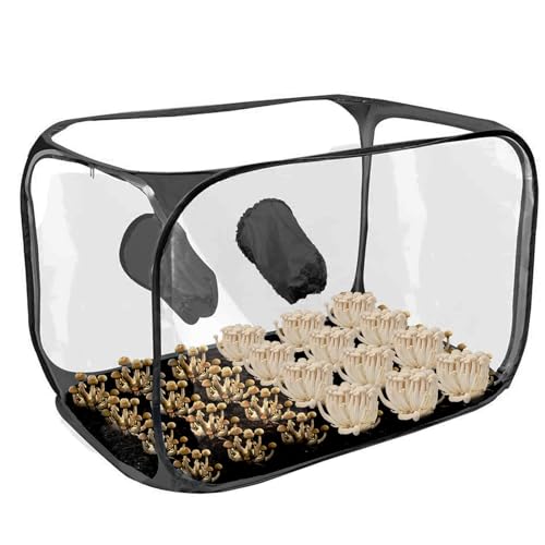 Xujuika Pilz-Zuchtbox, Pilz-Still-Luftbox, Pflanzbeutel-Pilzzelt-Vermehrungsstationen, Pilzzuchtbeutel, Gartenbaubedarf, Pop-up-Design, Faltbare Wachstumsbehälter von Xujuika
