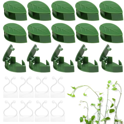 YANGUN 100 Stück Pflanzenclips für Kletterpflanzen, Pflanzenhalter Wand, 50 Weiß Pflanzenhalter, Pflanzenwand Kletterpflanzen Halterung für Kletterpflanzen Plant Climbing Wall Garten von YANGUN