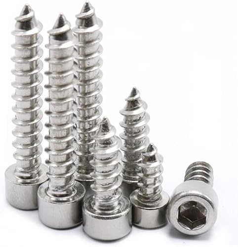 M2 Zylinderkopt-blechschrauben mit Innensechskant, blechschrauben Edelstahl, 100 Stück (M2 x 10 mm) von YINRUISCREW