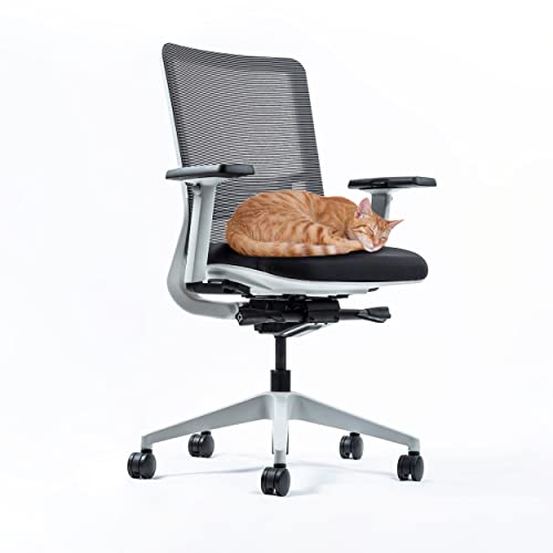 Yaasa Chair Classic Ergonomischer Bürostuhl gegen Rückenschmerzen | integrierte Lordosenstütze | 3D-Armlehnen und Einstellung der Sitztiefe | Traglast 130kg | 5 Jahre Garantie (Weiß) von Yaasa