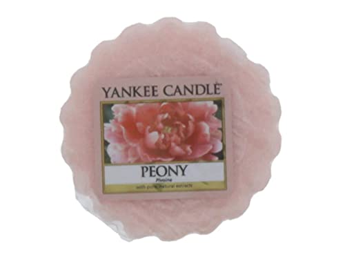 Yankee candle Dufttart, Wachs, Rosa, 5.8x5.7x2 cm von Yankee Candle