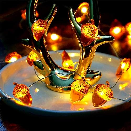 Eicheln Lichterkette Herbst,2M 20 LED Lichterkette,Deko Timerlichterkette Herbst,Outdoorlichterkette Batterie,Herbst Eichel Dekoratives Licht für Erntedankfest, Weihnachten, Hochzeit, Geburtstag Party von YeahBoom