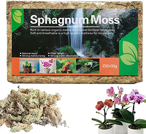 Yeehliny Sphagnum Moos Für Bonsai, Orchideen, Orchideensubstrat Moss Potting Mix Fleischfressende Pflanzen, für Orchid Bio Dünger Home Blumenpflanzenanbau Torfmoos (1PC) von Yeehliny