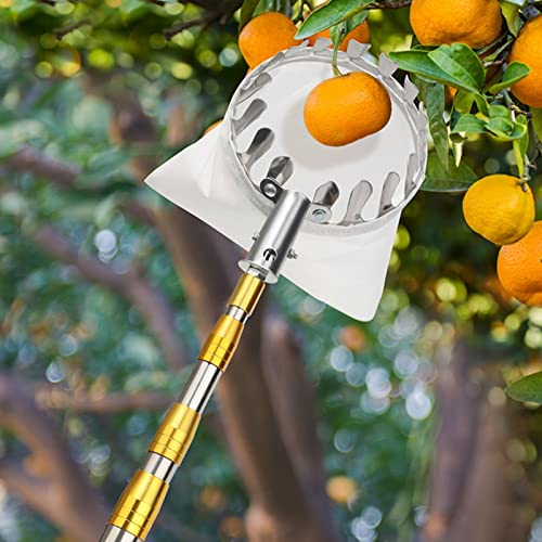 Yesbon Praktischer Obstpflücker mit Teleskopstange, Obstsammler Kirschpflücker Pflückhilfe Edelstahlpflücker Obstsammler Praktische Erntehilfe für die Birnen-Zitronen-Orangen,A,6m/19.7ft von Yesbon