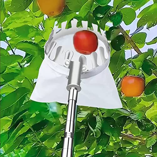 Yesbon Praktischer Obstpflücker mit Teleskopstange, Obstsammler Kirschpflücker Pflückhilfe Edelstahlpflücker Obstsammler Praktische Erntehilfe für die Birnen-Zitronen-Orangen,B,6m/19.7ft von Yesbon