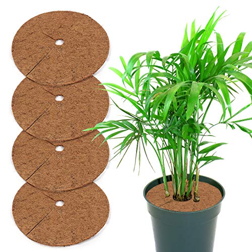 Yisscen Kokosscheibe, 4 Stück Kokos-Mulchscheibe, Winterschutzpflanzen Gartenarbeit, Coconut Mat Disc Mulch Topf Pflanzenschutzmatte für Home Hotel Garden (30cm) von Yisscen