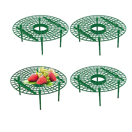 Ylinwtech 4 Stücke Plants Rack Holder,Erdbeer Holder,Erdbeer Reifer,Robuste Kunststoffhalterung,für Garden,Erdbeeren,Salat und Tomaten,Schneckenschutz und Schutz vor Fäulnis und Schimmel von Ylinwtech