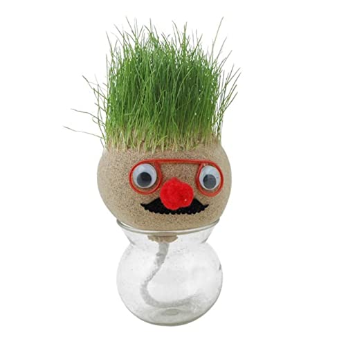 Graskopf Puppenpflanze,Wachsende Graskopf Puppenpflanze, Bonsai Gras Kopf Figurm,Desktop-Grünpflanzen Im Top, Lernspielzeug, Kinder Handwerk Geschenke,Topfpflanzen Für Schlafzimmer von Yulokdwi