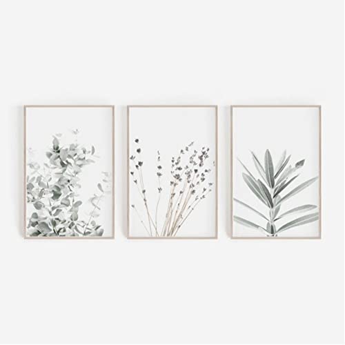 ZOYIEP 3er Poster Set Wohnzimmer - Bilder Deko Schlafzimmer - Lavendel Eukalyptus Pflanze Stilvolle Wandbilder - ohne Bilderrahmen (13 x 18 cm) von ZOYIEP